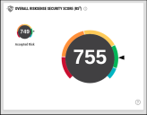 Executive Dashboard - Overall RiskSense Security Score Widget